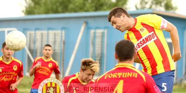 Ripensia Timişoara
