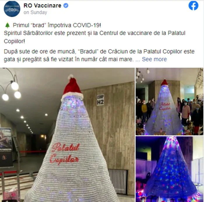 
    Reprezentanții RO Vaccinare au publicat imagini cu bradul, lăudând inițiativaFoto: Facebook  