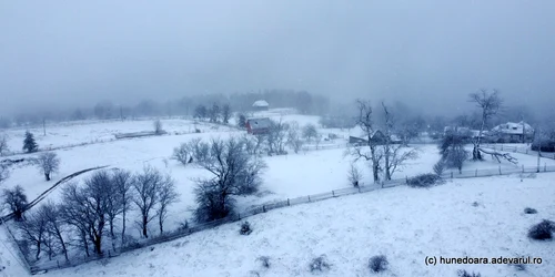 Poiana Răchițelii, iarna  Foto Daniel Guță (7) JPG