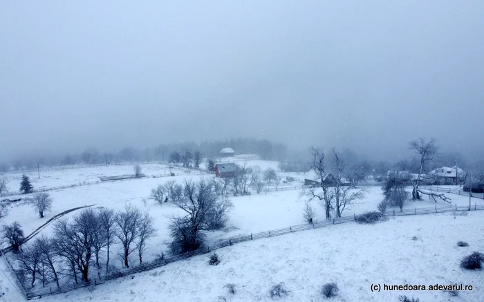 Iarna în Poiana Răchițelii. Foto: Daniel Guță