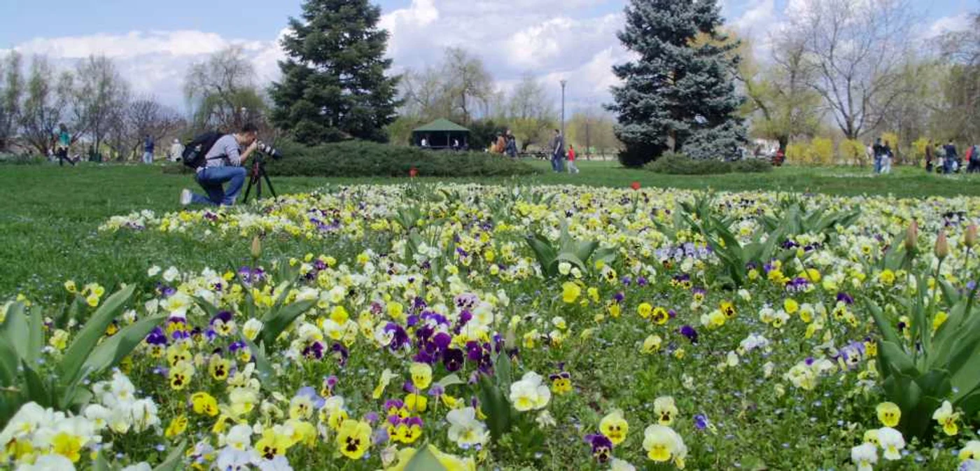 Meteorologii au anunţat vreme frumoasă în următoarele două săptămâni FOTO Adevărul
