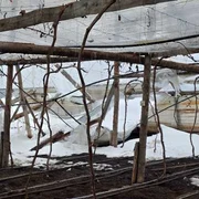 solarii distruse jpg