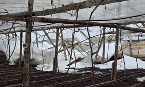 solarii distruse jpg