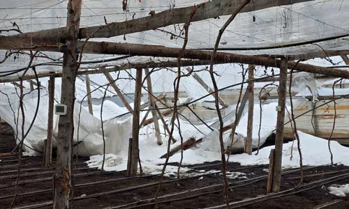 solarii distruse jpg