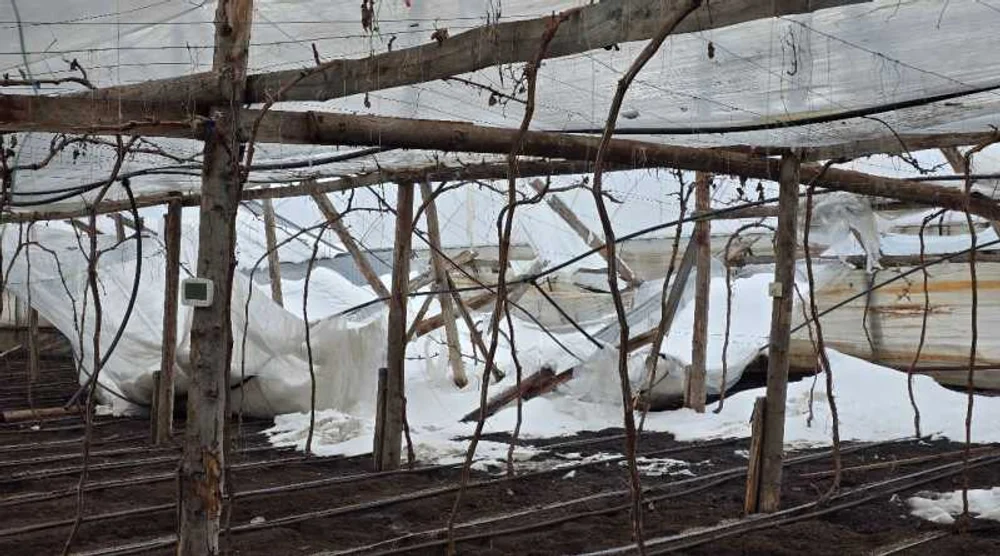 Sute de solarii distruse de viscolul și zăpada din ultimele zile. Pagube de zeci de mii de euro