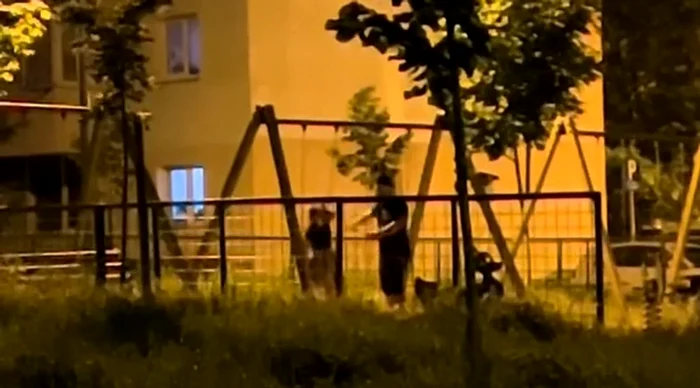 Un bărbat și-a bătut soția într-un parc FOTO: captura video