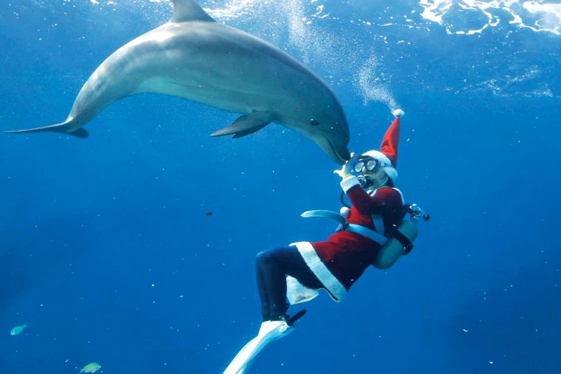 
    Moşul înoată cu delfinii la Paradisul Mării din  Yokohama, Japonia (Fotografii: Reuters)  