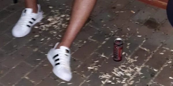 tanarul a fost reclamat ca a spart seminte FOTO Poli Locala Calarasi jpg