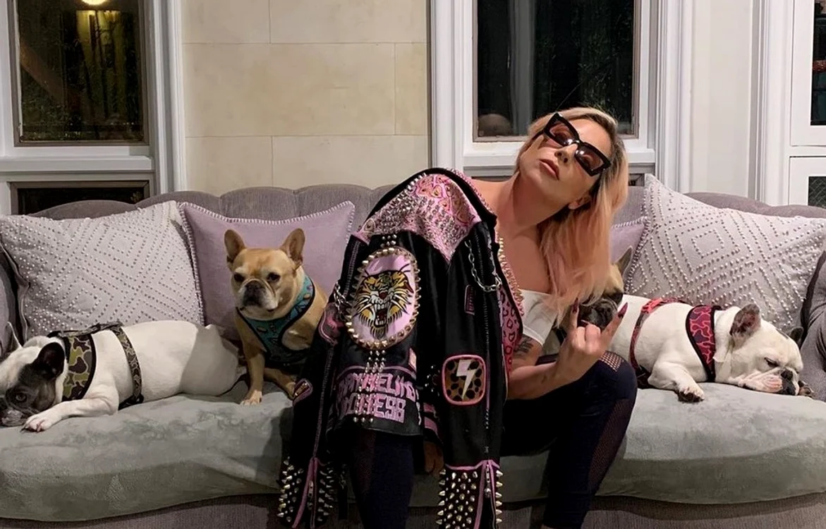 gaga jpg jpeg