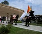 alba iulia foto lucian muntean 14 jpg