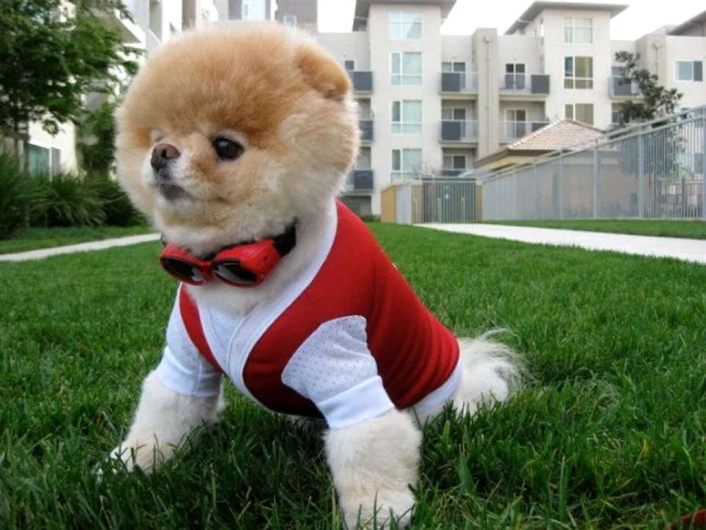 Boo