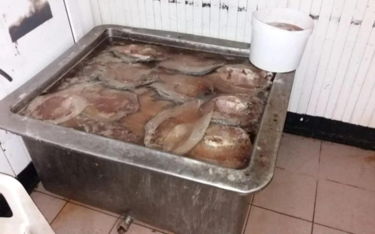 peşte toxic adus din spania si italia 