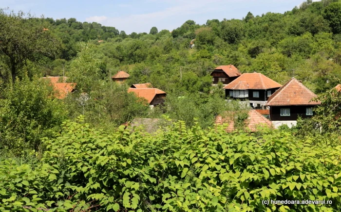 Satul Alun. Foto: Daniel Guţă. ADEVĂRUL