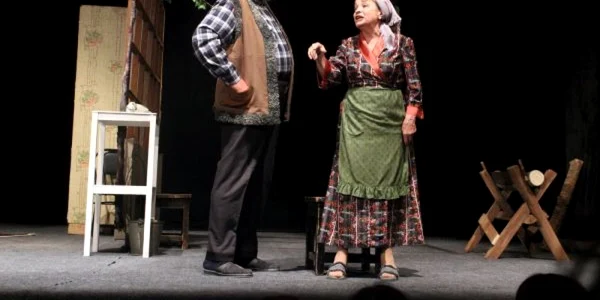 teatrul luceafarul