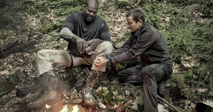 vedete in salbaticie bear grylls discovery 