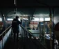 Rușii au ucis 13.000 de porci într-un atac cu dronă FOTO: X