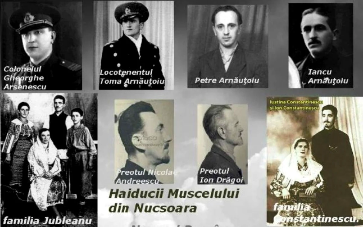 membri rezistenta nucsoara