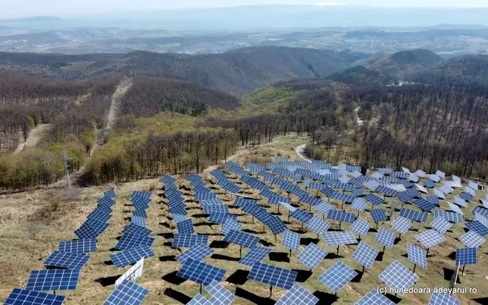 Parcul fotovoltaic. Foto: Daniel Guță. ADEVĂRUL