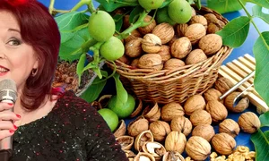 Banner Natalia Guberna 