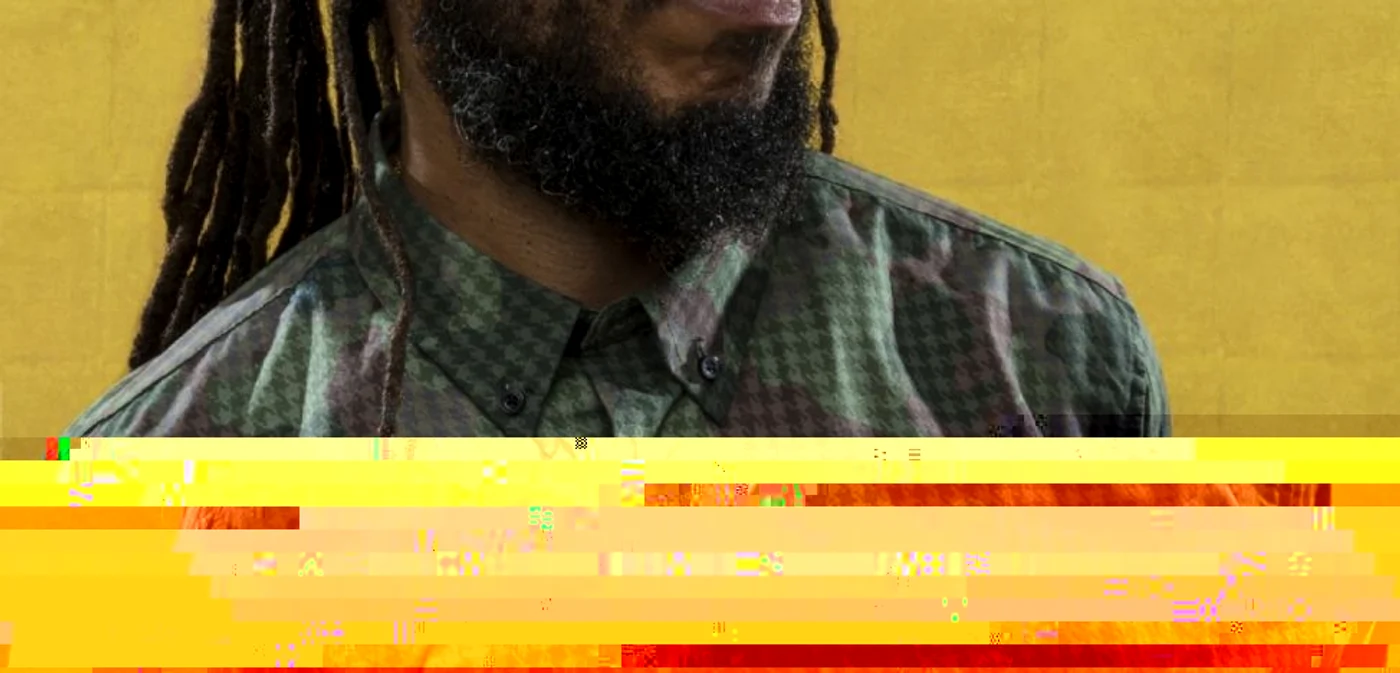 ziggy marley 02