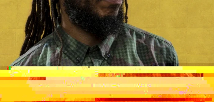 ziggy marley 02