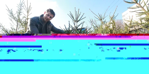 Prețurile pentru brazii din Chișinău variază între 80 și 250 de lei