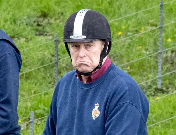 Prințul Andrew   profimedia 0862816522 jpg