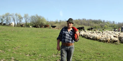 cioban mehedinti FOTO Corina Macavei 