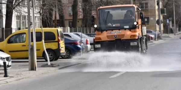 dezinsectie strazi