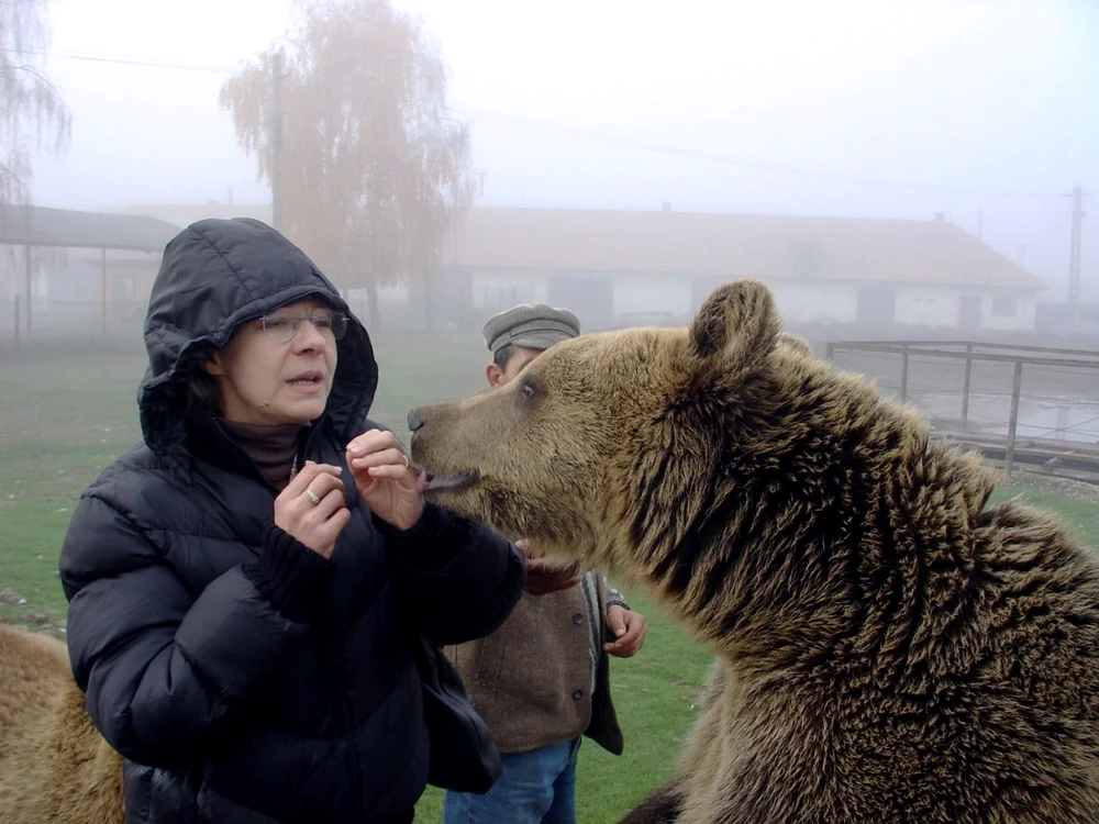 Cristina Lapis a înfiinţat, în 2005, Sanctuarul de urşi Libearty, la Zărneşti, în jud. Braşov, pentru a le oferi o viaţă normală urşilor eliberaţi din captivitate