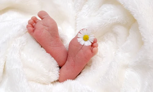 1 baby 718146 960 720 jpg jpeg