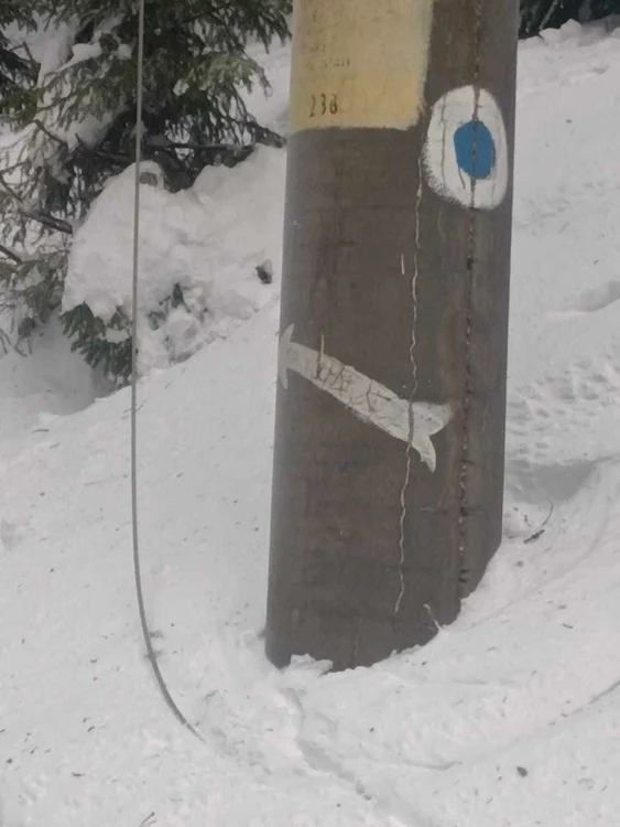 Foto Facebook.com / Salvamont Suceava