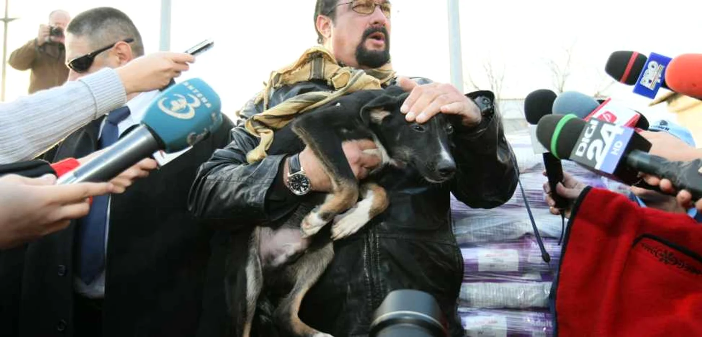 Steven Seagal adoptă un căţel FOTO Dorin Constanda