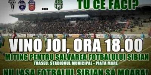 Mitingul va avea loc joi, intre orele 18:00 si 20:00 - Foto: peluzasud.ro