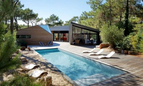 cap ferret jpg