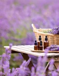 Lavanda jpg