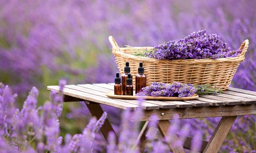 Lavanda jpg