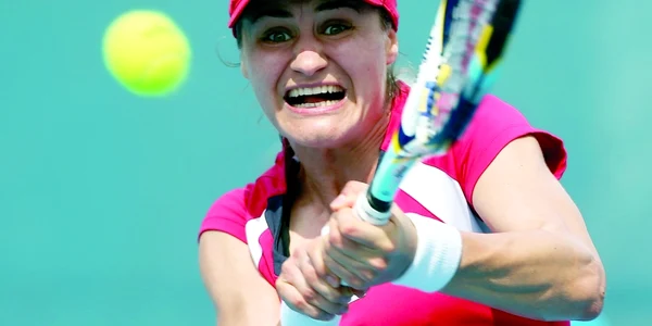 Niculescu