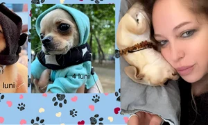 banner Anca Badiu png