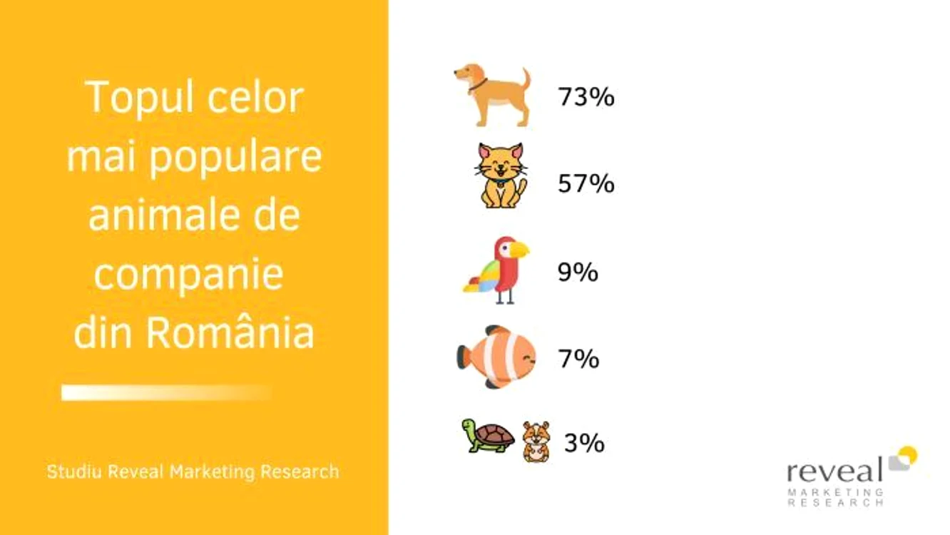 2 topul celor mai populare animale de companie jpg jpeg