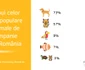 2 topul celor mai populare animale de companie jpg jpeg