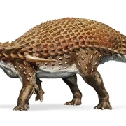 Dinozaur - nodosaur FOTO National Geographic 