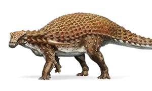 Dinozaur - nodosaur FOTO National Geographic