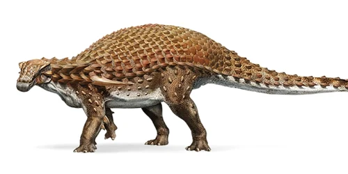 Dinozaur - nodosaur FOTO National Geographic