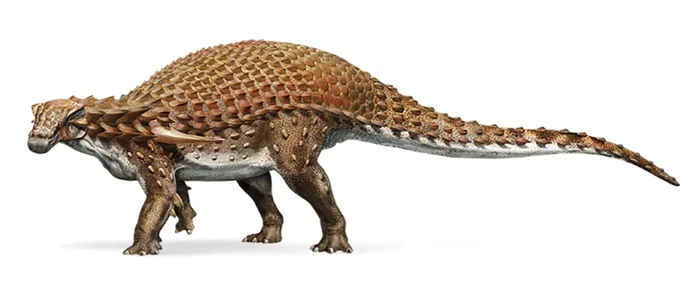 Dinozaur - nodosaur FOTO National Geographic
