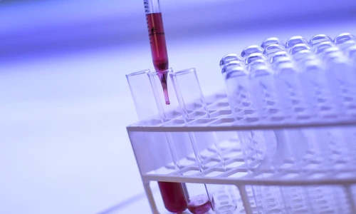 1 75431 original jpg jpeg