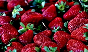 capsuni 600x400 jpeg