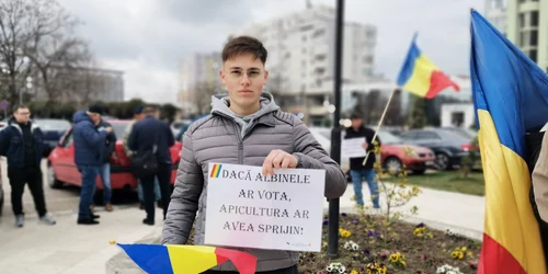 eduard marian andronachescu, liceanul apicultor foto alina mitran (10) jpg