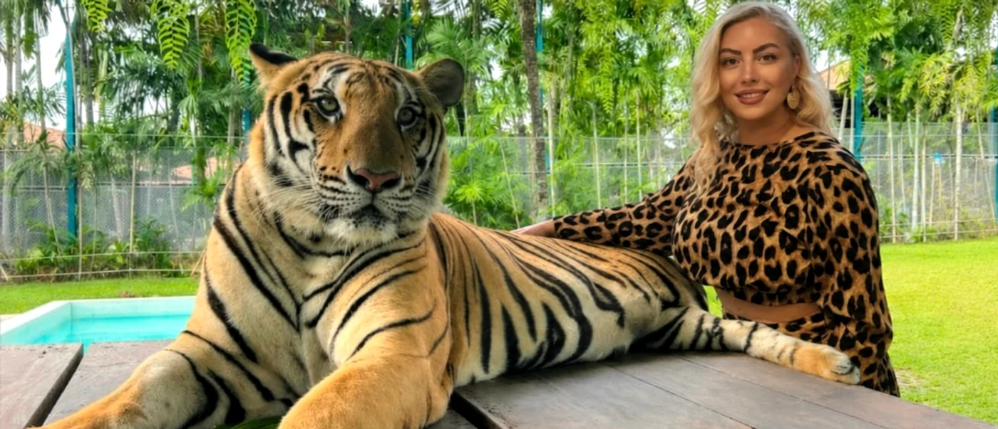 Ornela Pasăre s-a pozat cu tigrii în Thailanda foto: arhivă personală 