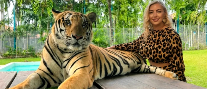Ornela Pasăre s-a pozat cu tigrii în Thailanda foto: arhivă personală